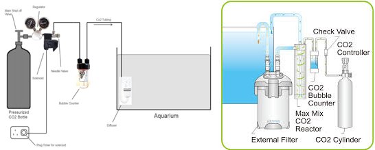 CO2 Setup | Aquotix Aquariums
